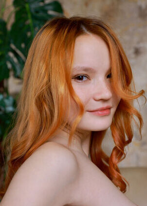Photo 03