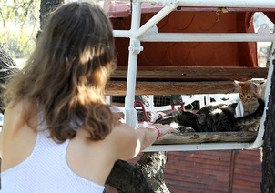 Photo 04