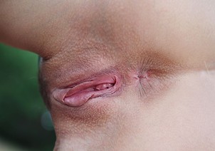 Photo 04