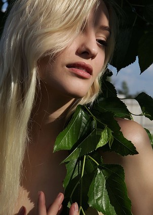 Photo 08